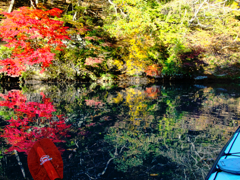四万湖 紅葉カヤック2021