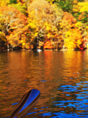 秋の中禅寺湖カヤック 2019