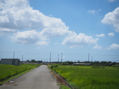 田んぼ道