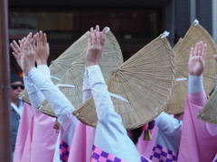 指先まで阿波おどり