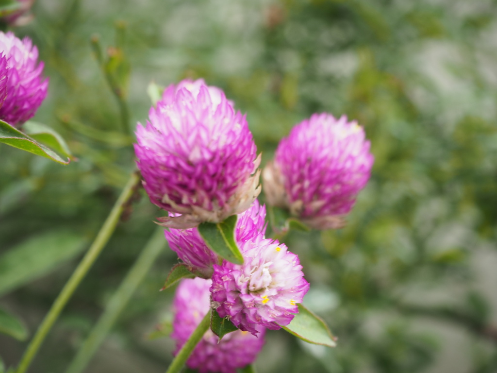 (^_^)みたいです