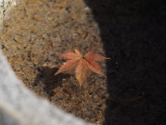秋のなごり