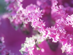 波打つようなうねり