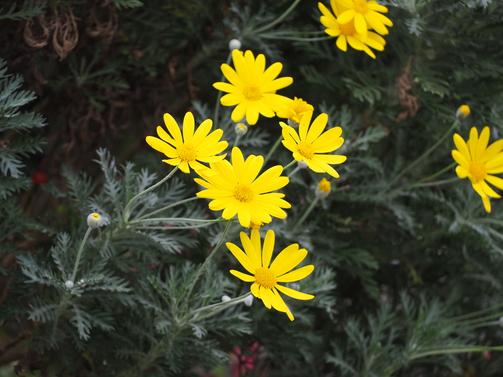 一段、二段、三段、ちょと外れて一つ