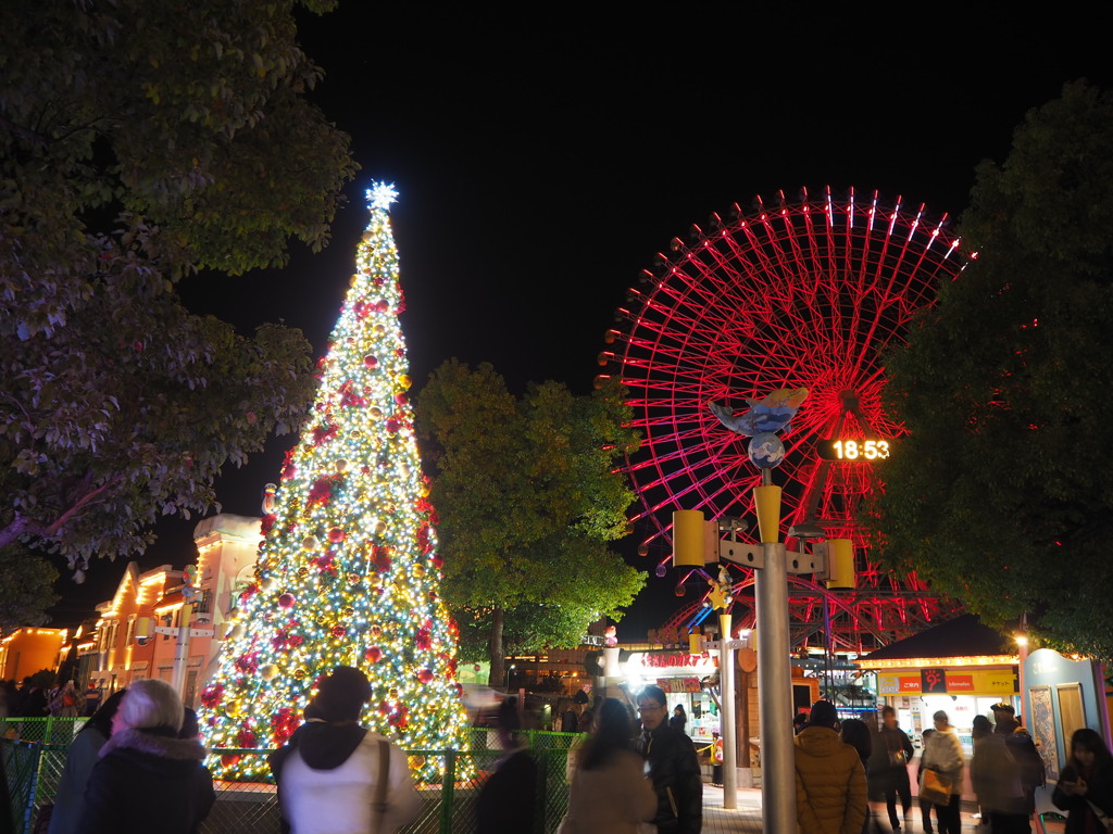 クリスマスツリー