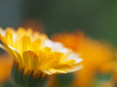 小さなテーブル