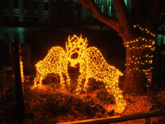 トナカイの力比べ