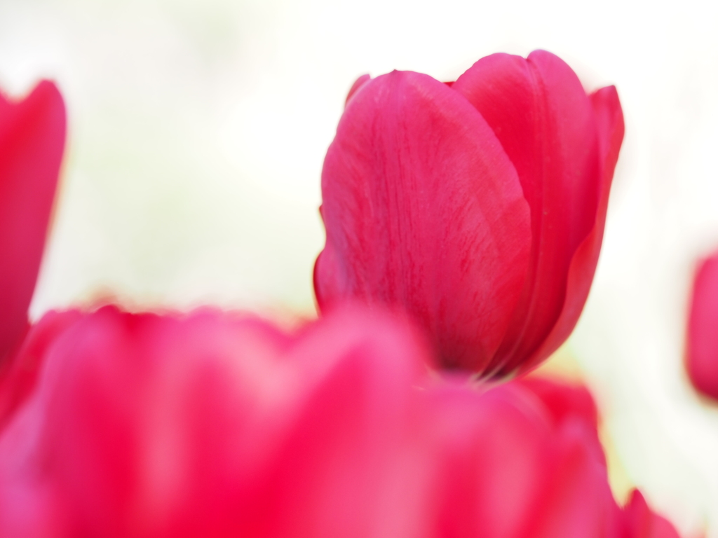 イルデフランス