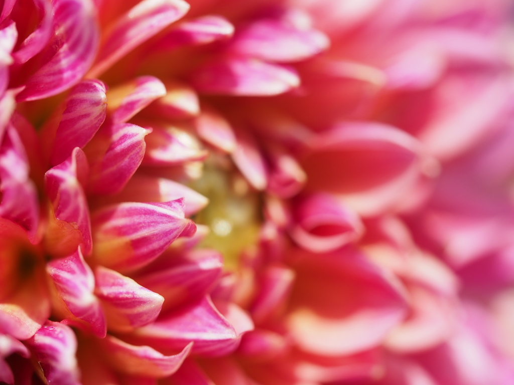 アンティークロマン