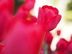 イルデフランス