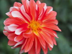 カラーマジック