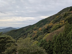 稜線　紅葉はじめ