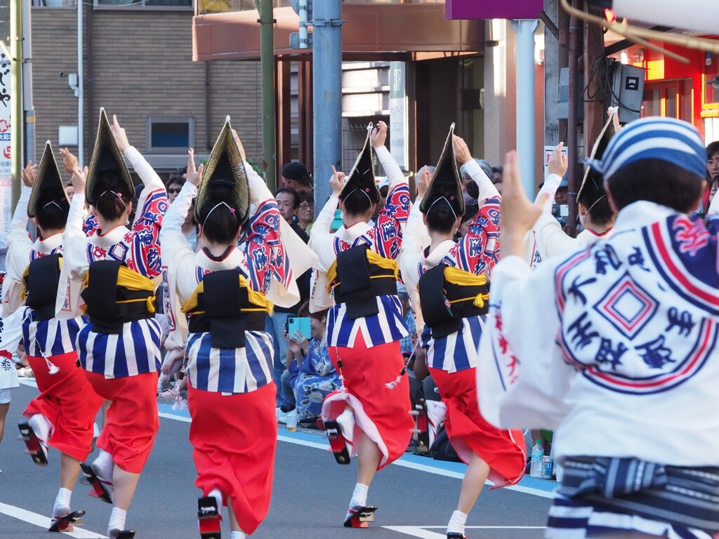 指先まで阿波おどり