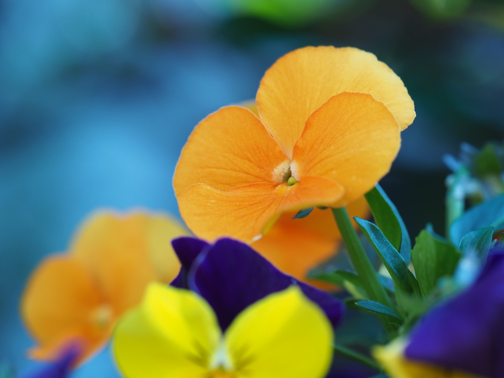 街中での出会い