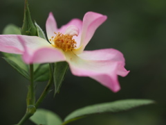 鮮やかな色合い