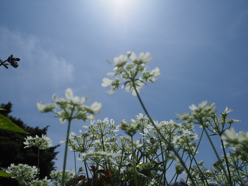陽射しを浴びながら