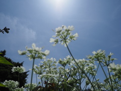 陽射しを浴びながら