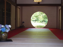 悟りの窓と紫陽花