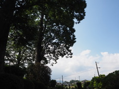 最後の夏空