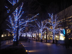 イルミネーション