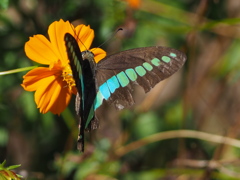 さあ、飛び立とう