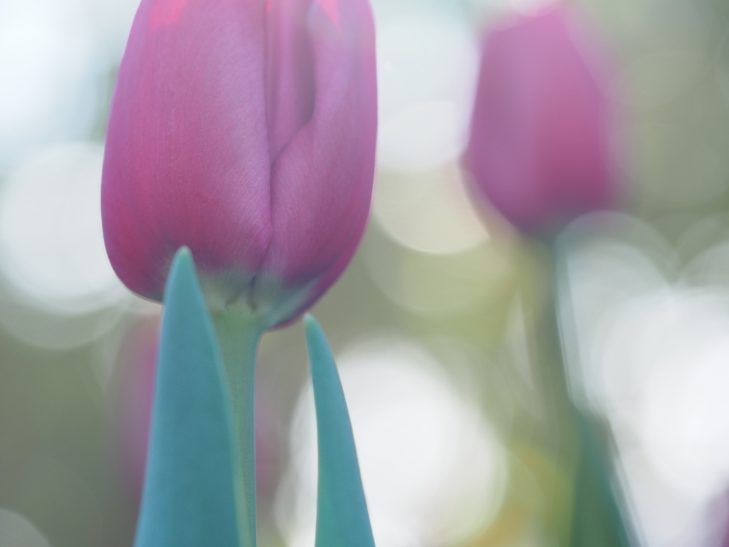 イルドフランス