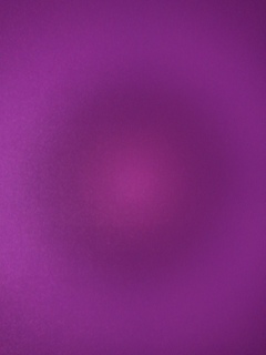 紫の世界