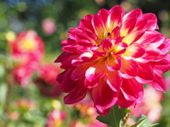 ロックンロール