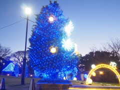 イルミネーション