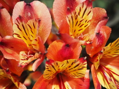 みんなが集まり