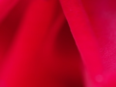 ビロードのような