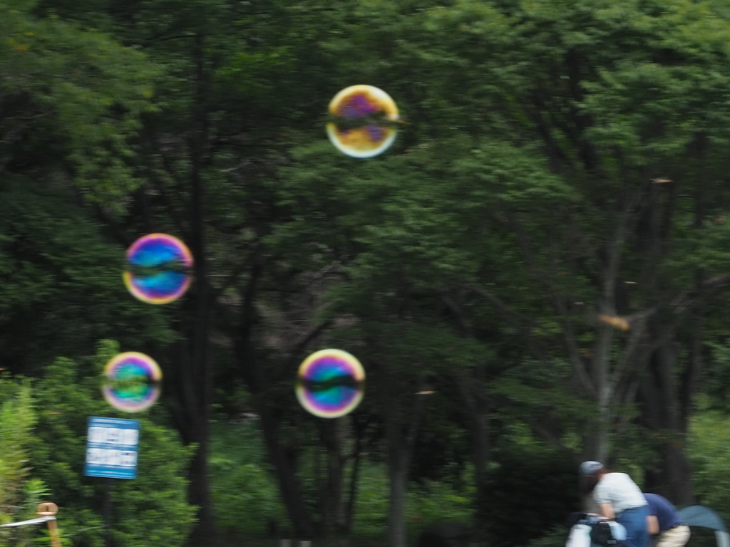 シャボンが飛んだ