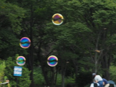 シャボンが飛んだ