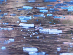 小さな海の小さな流氷