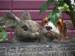街角、見守り隊
