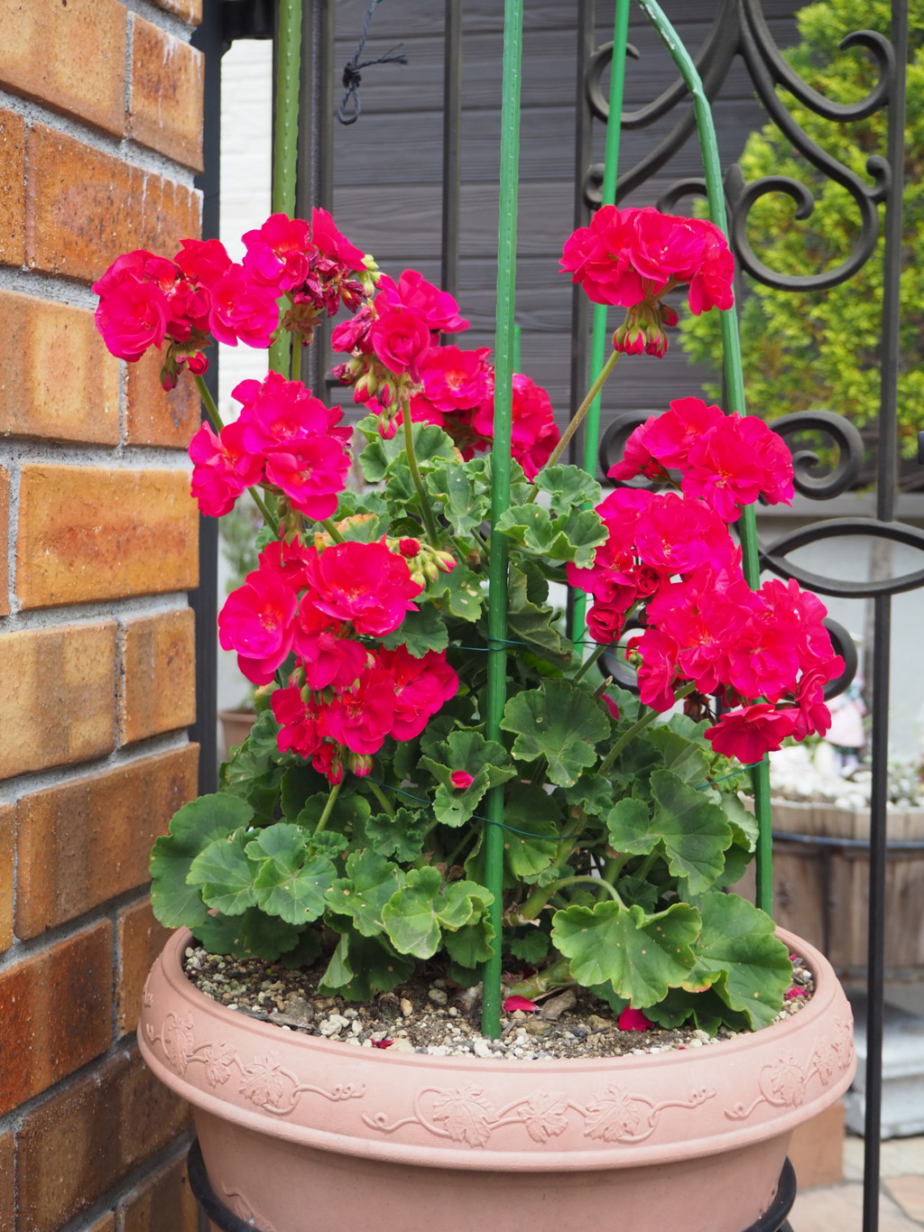 玄関でお出迎え