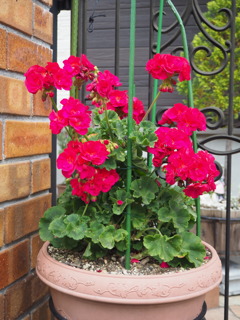 玄関でお出迎え