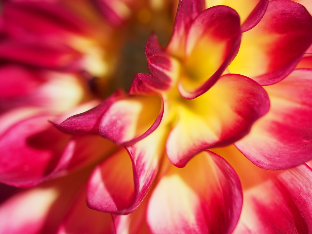 ロックンロール