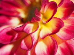 ロックンロール