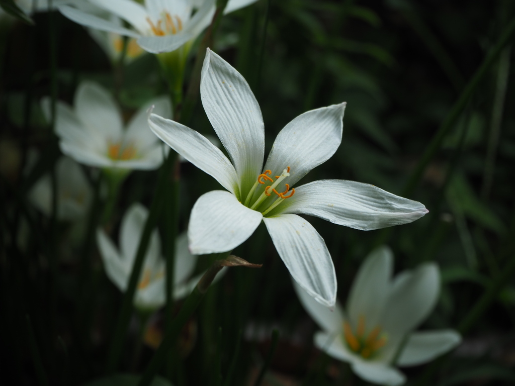 街角で色を見つけて