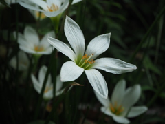 街角で色を見つけて