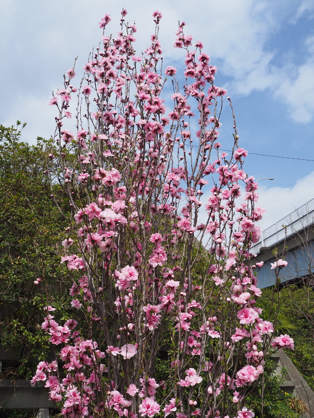 曇りの日に青空見つけて