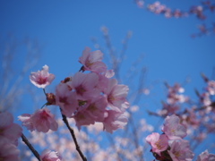 青空