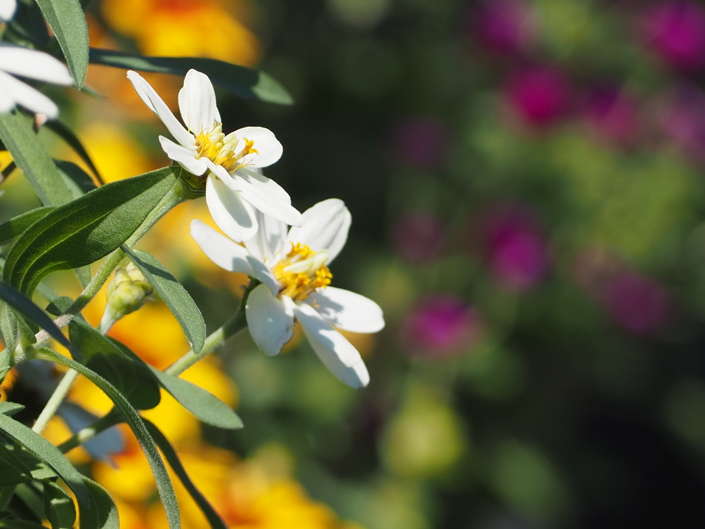 街角での出会い