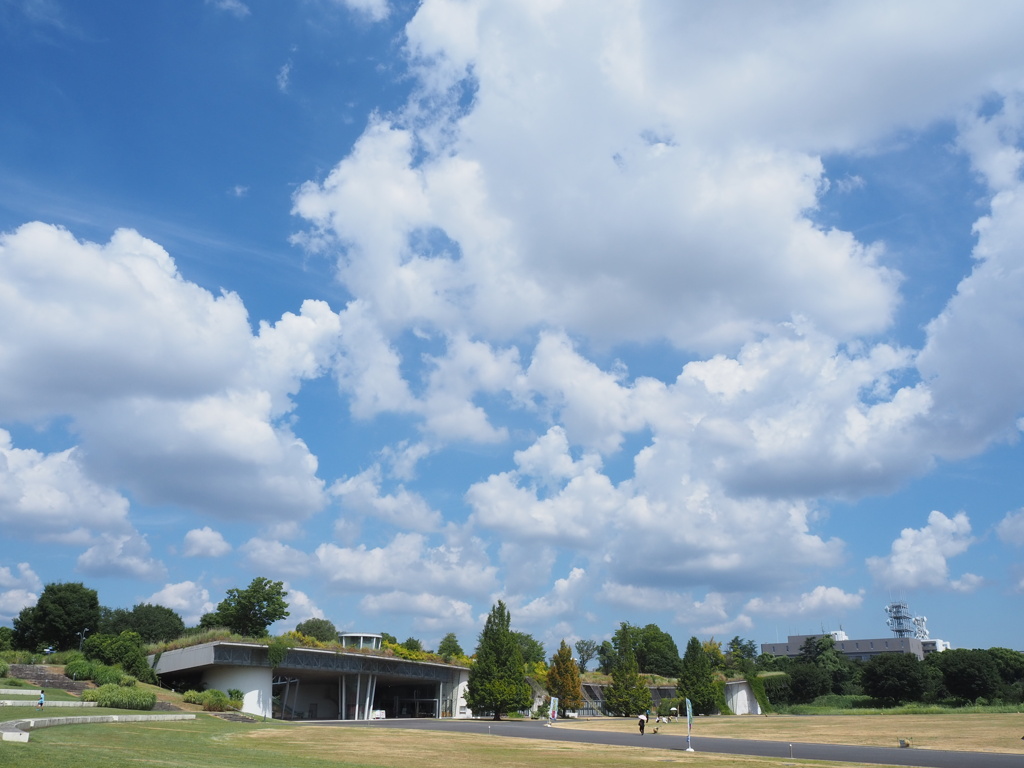 夏空