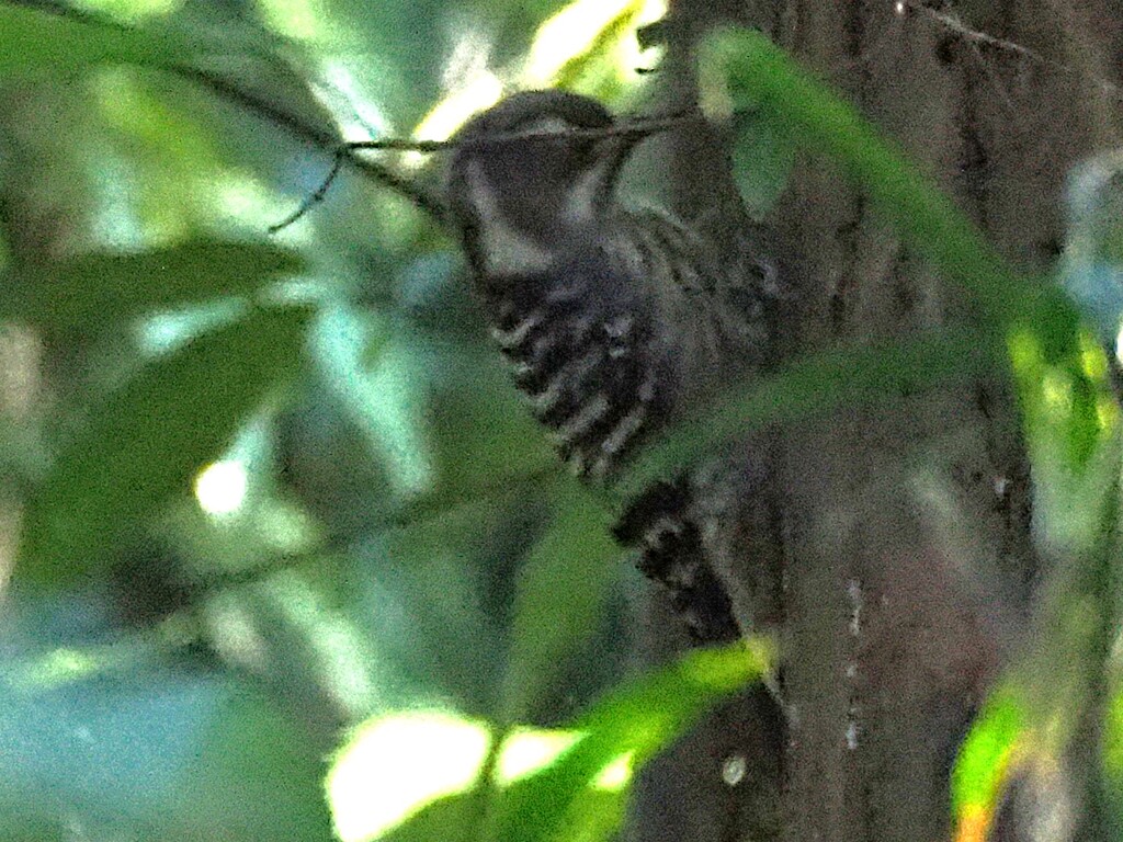 何かいないかなあ