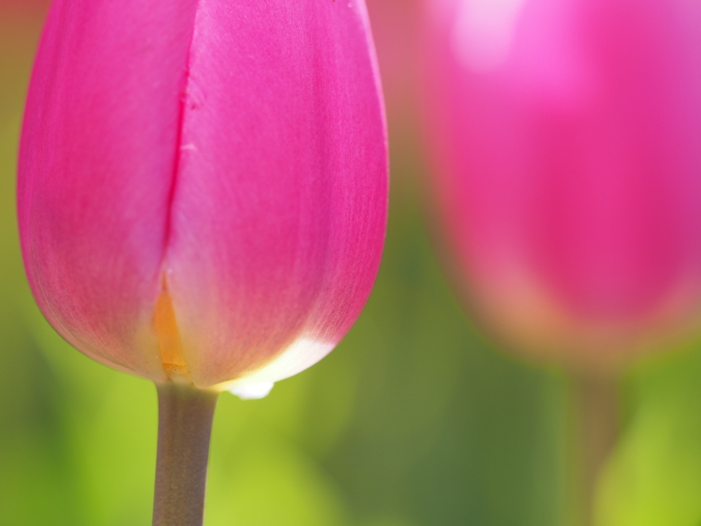 光が集まる場所