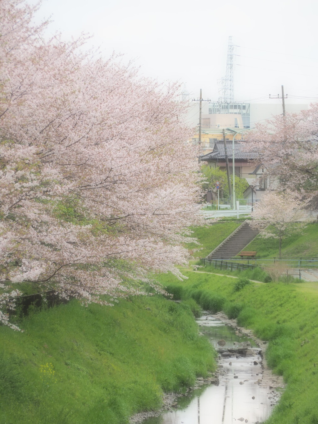 もう少し楽しいめそう