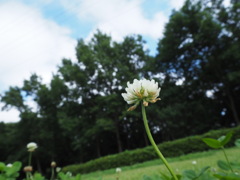 久しぶりの青空でした。