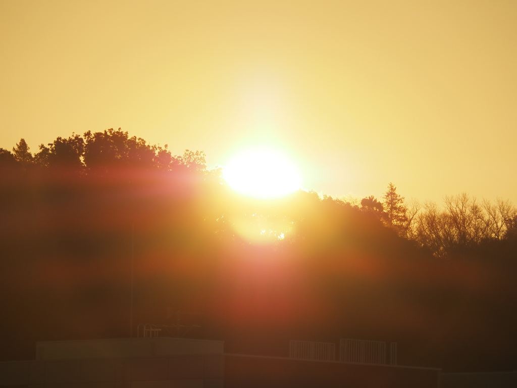初日の出